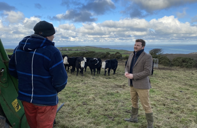 Welsh Government’s final betrayal of Welsh farmers and the environment on NVZs