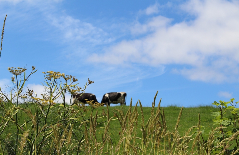 farming