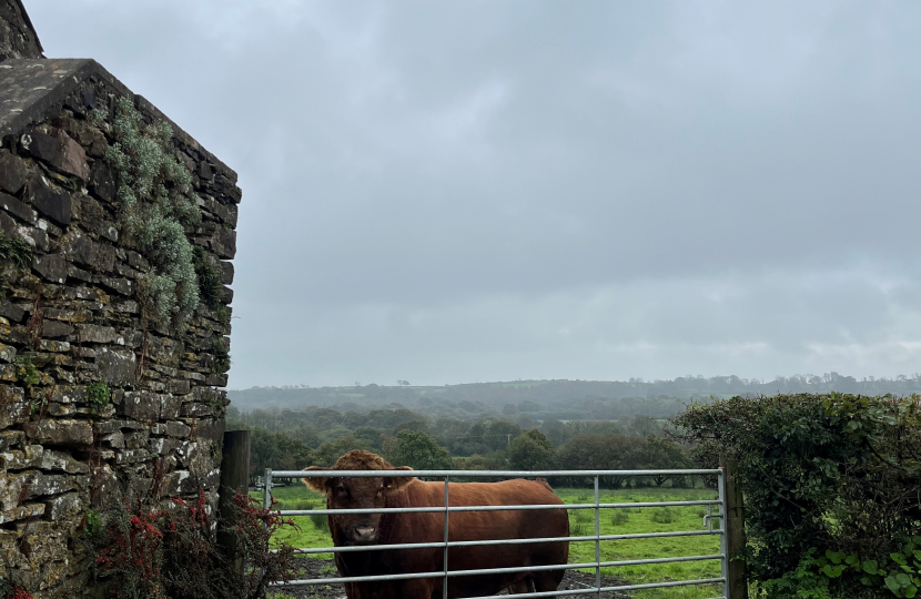 There is currently a real sense of concern within Wales's farming sector, says Shadow Rural Affairs Minister Samuel Kurtz MS