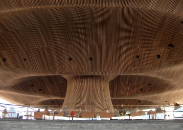 senedd