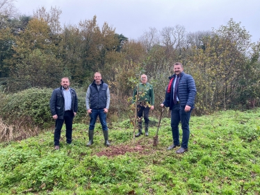 Tree Planting 1