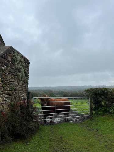 There is currently a real sense of concern within Wales's farming sector, says Shadow Rural Affairs Minister Samuel Kurtz MS